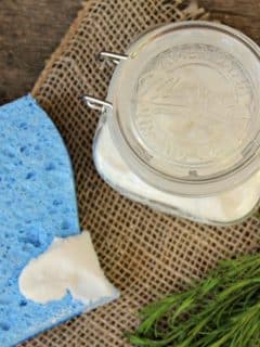 homemade soft scrub feature